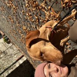 Hundeschule Vogt - Bodo