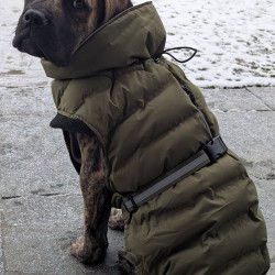 Hundeschule Vogt - Keks