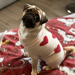 Hundeschule Vogt - Luna