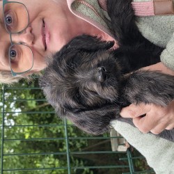 Hundeschule Vogt - Nala